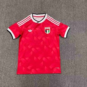 2026 United Arab Emirates Away Jersey S-4XL